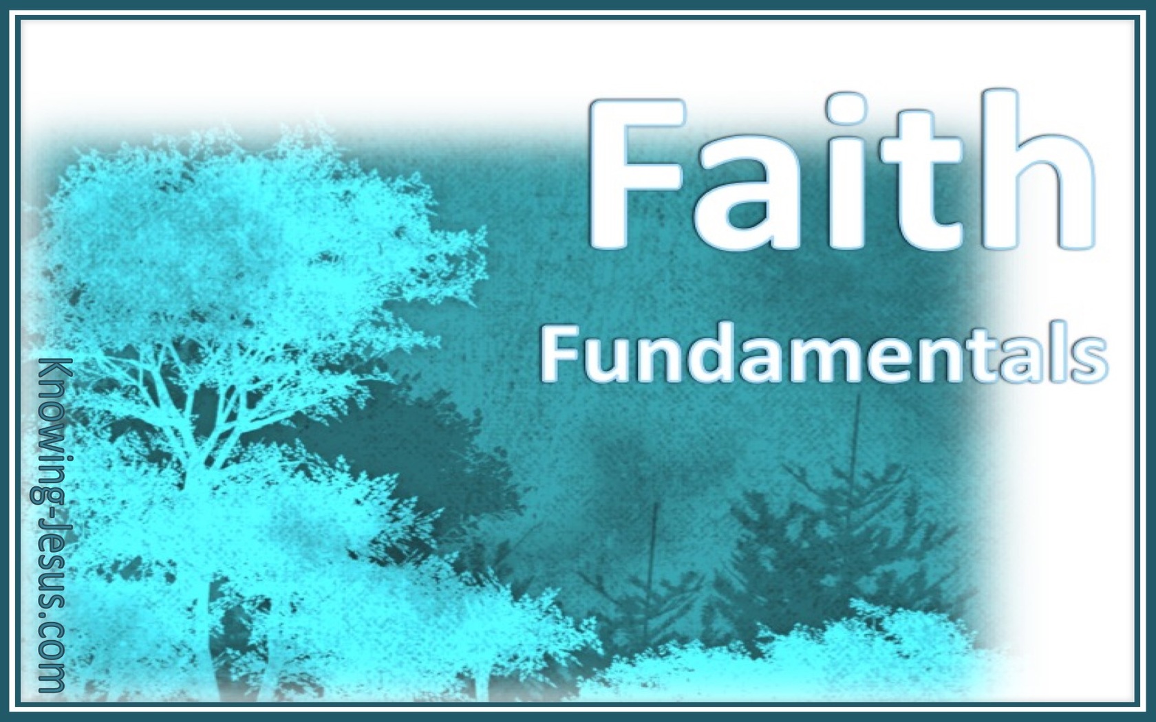 Faith Fundamentals (devotional) (aqua)